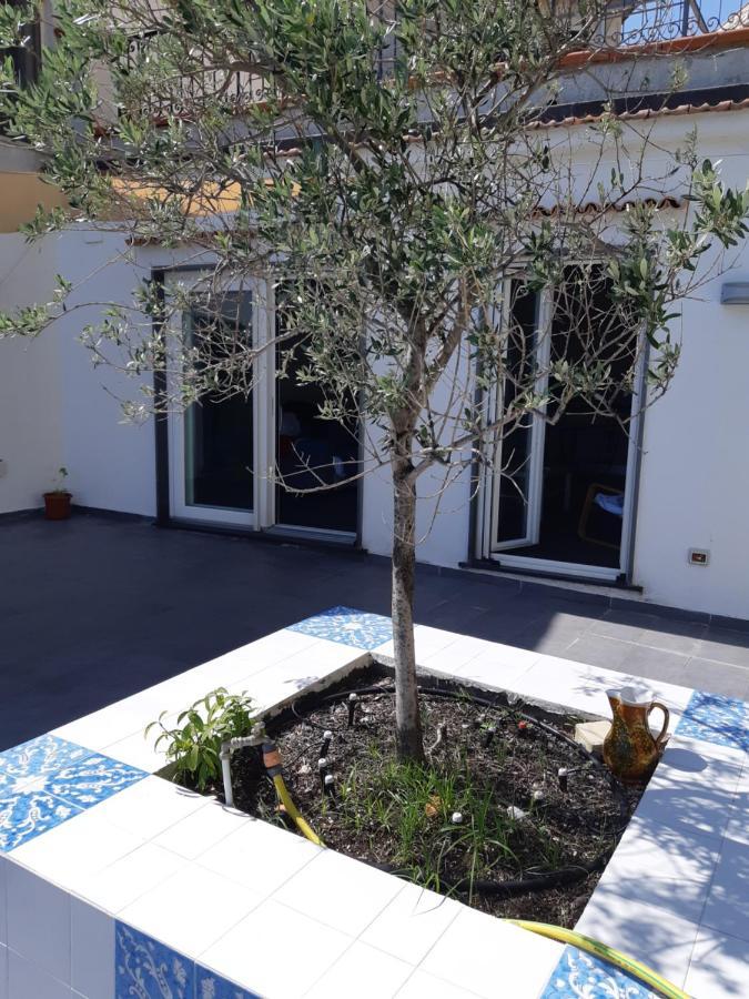 Amalfi Coast Emotions Apartment